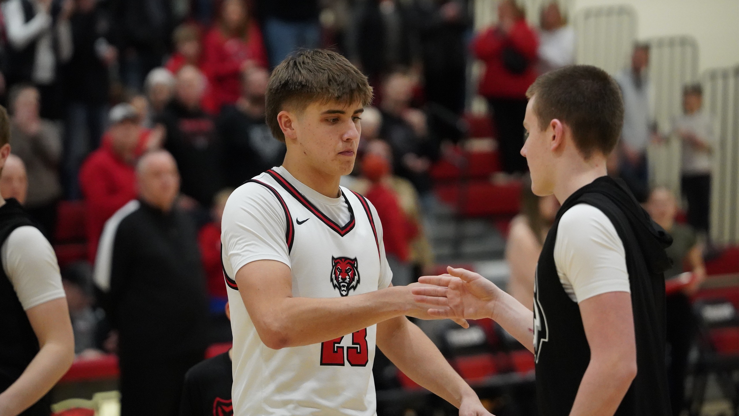 Tigers Advance to Substate Final