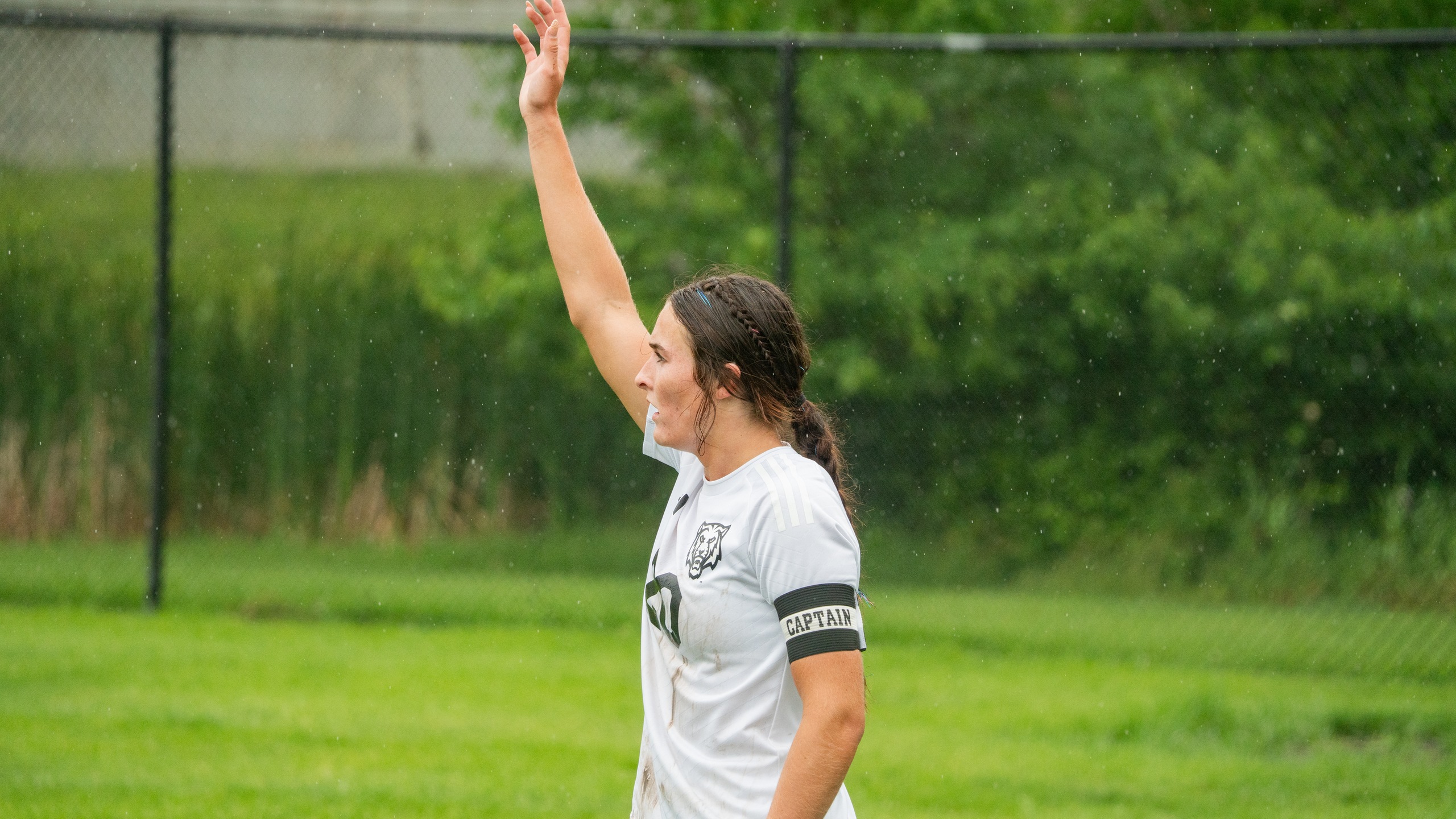 Tigers Advance to Semifinal
