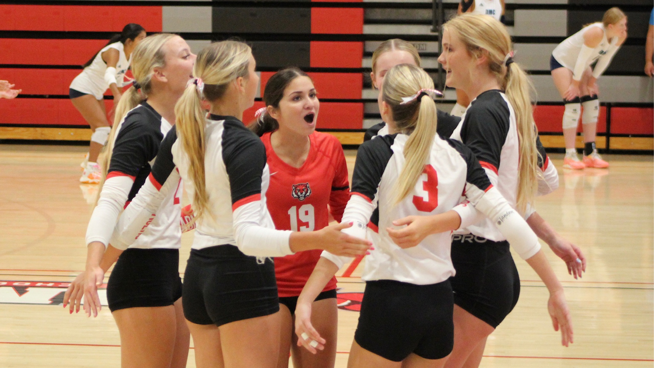 ADM Volleyball Earns Multiple All-Conference Honors