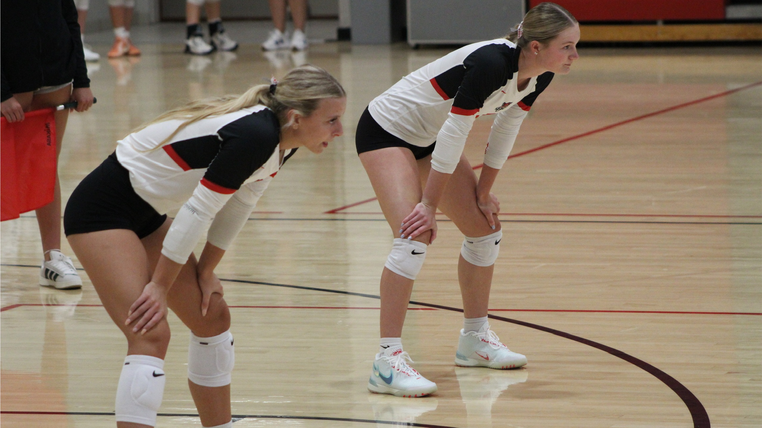 Tigers Sweep Season-Opening Quad in Dominant Fashion