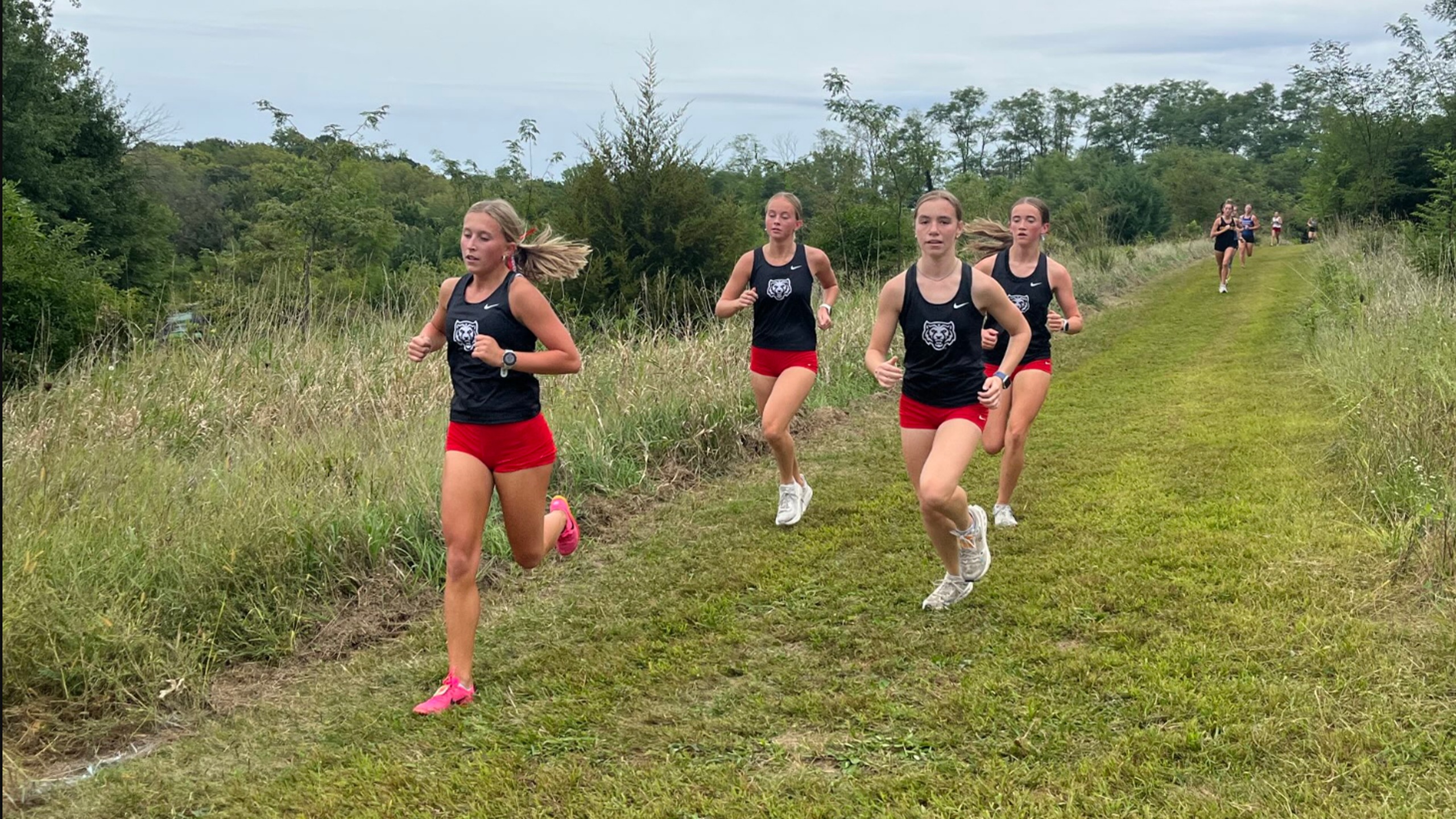 Tigers Win Steve McDermott Invite